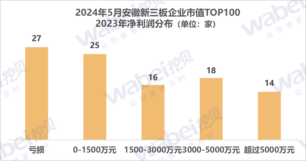 2024年5月安徽新三板企业市值TOP100：32家企业去年净利润超3000万元